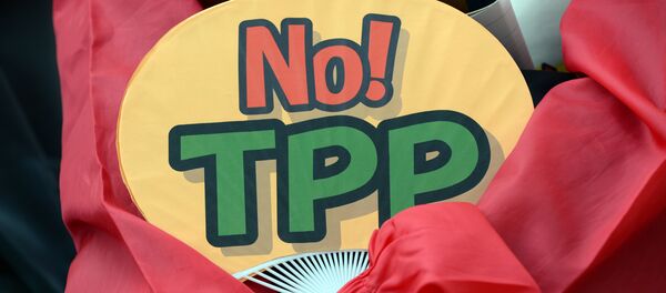 A demonstrator holds a fan with No! TPP in a protest against the Trans Pacific Partnership (TPP) trade deal at a sit-in demonstration in front of the parliament building in Tokyo - اسپوتنیک افغانستان  