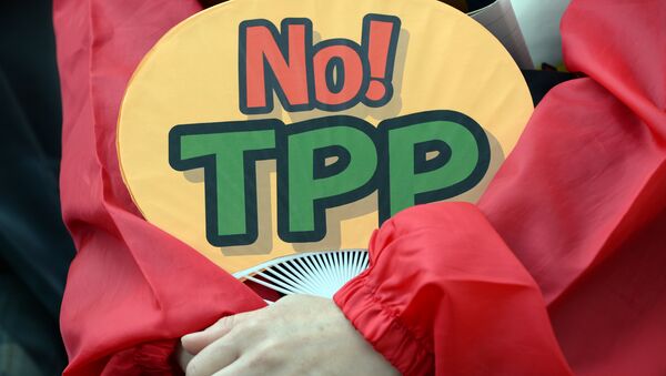 A demonstrator holds a fan with No! TPP in a protest against the Trans Pacific Partnership (TPP) trade deal at a sit-in demonstration in front of the parliament building in Tokyo - اسپوتنیک افغانستان  