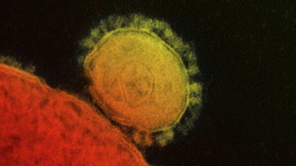 گزینه جدید برای پیشگیری از گسترش ویروس کرونا - اسپوتنیک افغانستان  