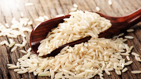 با مصرف برنج می‌توانید از بروز چاقی جلوگیری کنید - اسپوتنیک افغانستان  