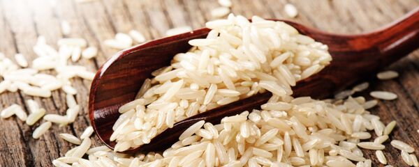 با مصرف برنج می‌توانید از بروز چاقی جلوگیری کنید - اسپوتنیک افغانستان  