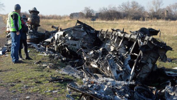 هالند به طور عمد بررسی سقوط هواپیما MH17 را به تاخیر می اندازد - اسپوتنیک افغانستان  