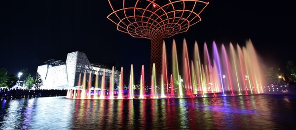 A night picture shows the Tree of Life, a 35-meter high installation, at the site of the Universal Exhibition 2015 (Expo Milano 2015 or World Exposition 2015) in Milan - اسپوتنیک افغانستان  