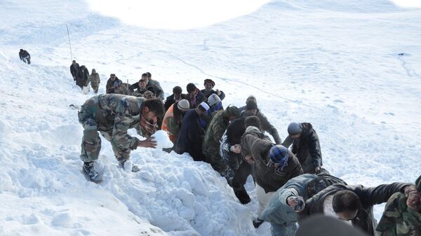  شمار قربانیان حوادث ناشی از برف باری افزایش یافت - اسپوتنیک افغانستان  