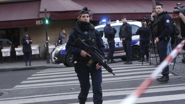 Французская полиция у музея Лувра, где произошло нападение на военный патруль - اسپوتنیک افغانستان  