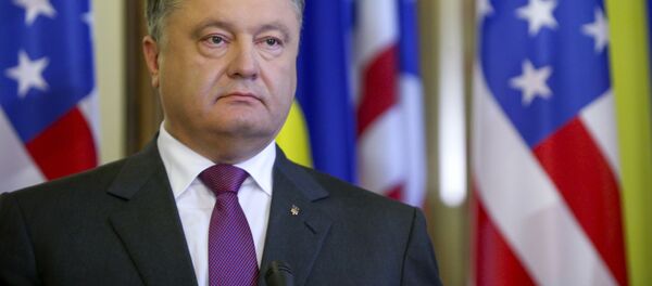 Президент Украины Петр Порошенко во время встречи с Государственным секретарем США Джоном Керри в Киеве Президент Украины Петр Порошенко во время встречи с Государственным секретарем США Джоном Керри в Киеве - اسپوتنیک افغانستان