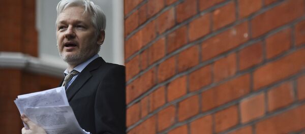 Сооснователь WikiLeaks Джулиан Ассанж Сооснователь WikiLeaks Джулиан Ассанж - اسپوتنیک افغانستان
