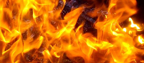 آتش زدن هزاران مزرعه توسط جنگجویان داعش آتش زدن هزاران مزرعه توسط جنگجویان داعش - اسپوتنیک افغانستان