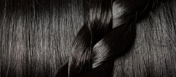 صادرات صد هزار کیلو موی انسان به چین صادرات صد هزار کیلو موی انسان به چین - اسپوتنیک افغانستان