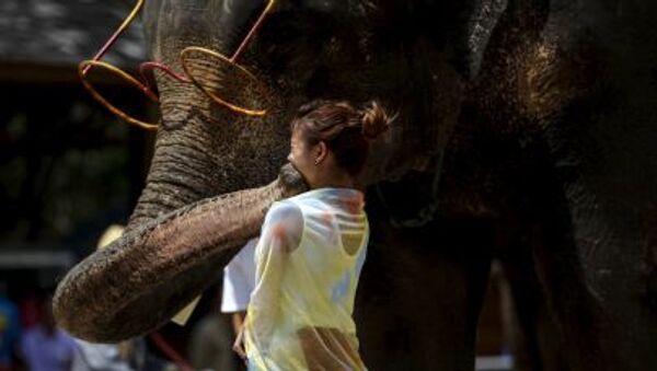 Слон целует маленькую посетительницу шоу слонов в Сишуанбаньна в Китае - اسپوتنیک افغانستان  