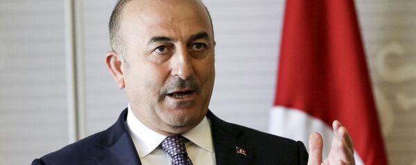 ترکیه خواستار همکاری ایران و روسیه برای کاهش کشمکش ها در ادلب شد ترکیه خواستار همکاری ایران و روسیه برای کاهش کشمکش ها در ادلب شد - اسپوتنیک افغانستان