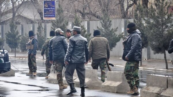 درگیری نیروهای امنیتی افغان و طالبان در هرات - اسپوتنیک افغانستان  