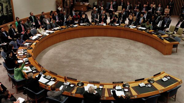 روسیه وچین اعلامیه شورای امنیت سازمان ملل متحد در مورد وضعیت در میانمار را مسدود کردند - اسپوتنیک افغانستان  