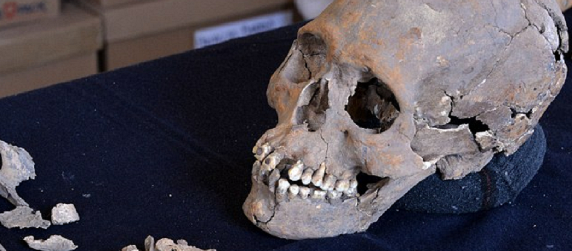 Skeleton With Stone-Encrusted Teeth Found In Mexico Ancient Ruins - اسپوتنیک افغانستان  , 1920, 16.03.2017