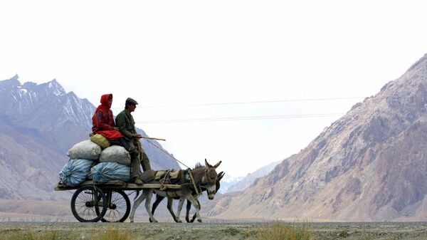 رسانه ها: چین و پاکستان برای ایجاد یک دهلیز امن اقتصادی توافق کرده اند - اسپوتنیک افغانستان  