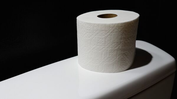 Toilet paper - اسپوتنیک افغانستان  