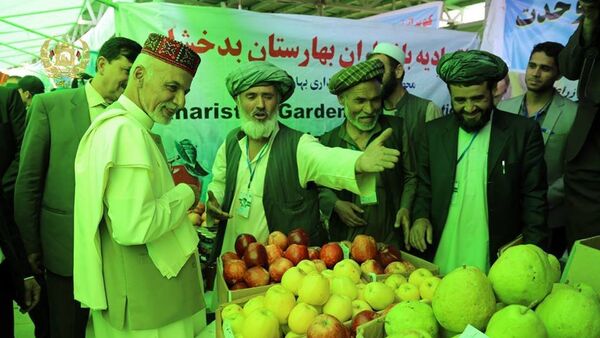 تاثیر زمین‌های زراعتی بر استقلال - اسپوتنیک افغانستان  