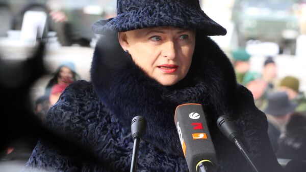 رئیس جمهور لیتوانی دالیا گریبوسکایته - اسپوتنیک افغانستان  