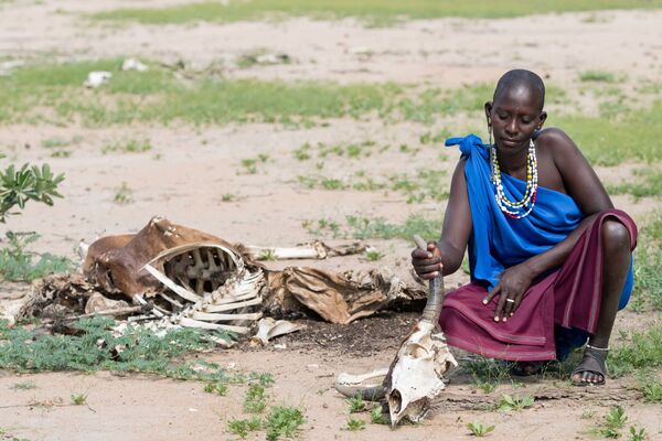 خانم افریقای با جسد گاوش که هنگام خشک سالی  از بین رفته - اسپوتنیک افغانستان  