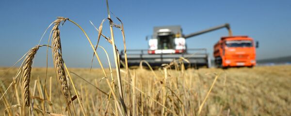 در افغانستان بیشتر از پنج میلیون هکتار زمین زراعتی به مشکل کمبود آب مواجه است - اسپوتنیک افغانستان  