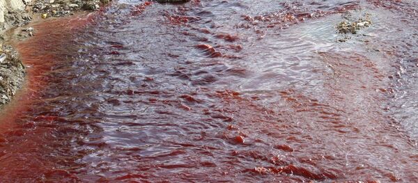 و باز هم مولانا فضل‌الرحمان پاکستانی فتوای کفر آمیزعلیه افغانستان صادر کرد - اسپوتنیک افغانستان  