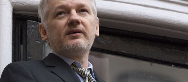 پیام مرموزاسانژ در توئیتر+ عکس پیام مرموزاسانژ در توئیتر+ عکس - اسپوتنیک افغانستان