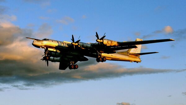 نیروهای هوایی کانادا طیاره Ту-95 روسیه را در الاسکا همراهی کردند - اسپوتنیک افغانستان  