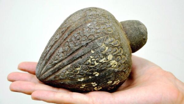 Items Thousands of Years Old that were Retrieved from the Sea were Turned Over to the Israel Antiquities Authority - اسپوتنیک افغانستان  
