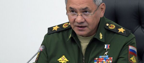 سرگئی شایگو سرگئی شایگو - اسپوتنیک افغانستان