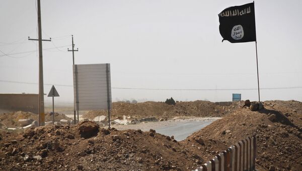 دستگیری یک سرکرده مهم داعش در عراق - اسپوتنیک افغانستان  