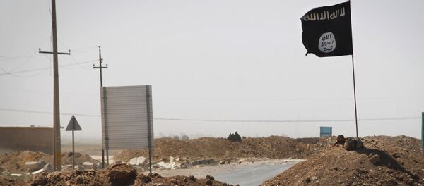 دستگیری یک سرکرده مهم داعش در عراق دستگیری یک سرکرده مهم داعش در عراق - اسپوتنیک افغانستان