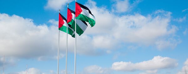 فلسطین: میخواهیم که روسیه بین ما و جهان «پل» باشد فلسطین: میخواهیم که روسیه بین ما و جهان «پل» باشد - اسپوتنیک افغانستان