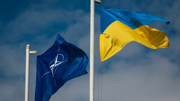 Национальный флаг Украины и флаг Организации Североатлантического договора - اسپوتنیک افغانستان  