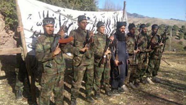 تشکیل مثلث سیاه: ایتلاف القاعده، طالبان و داعش در افغانستان - اسپوتنیک افغانستان  