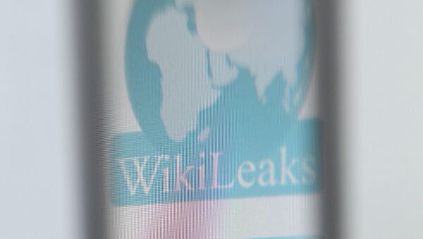 WikiLeaks - اسپوتنیک افغانستان  
