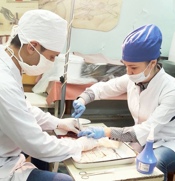 رومان شریفی - اسپوتنیک افغانستان  