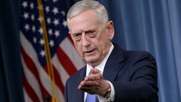 U.S. Defense Secretary James Mattis gestures during a press briefing on the campaign to defeat ISIS at the Pentagon in Washington, U.S., May 19, 2017 - اسپوتنیک افغانستان  