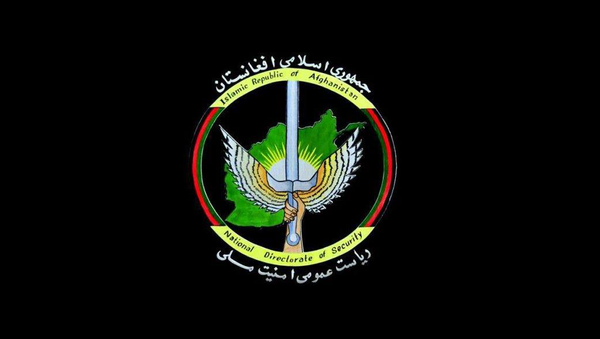 بازداشت گروه ۱۳ نفری داعش توسط امنیت ملی در کابل - اسپوتنیک افغانستان  