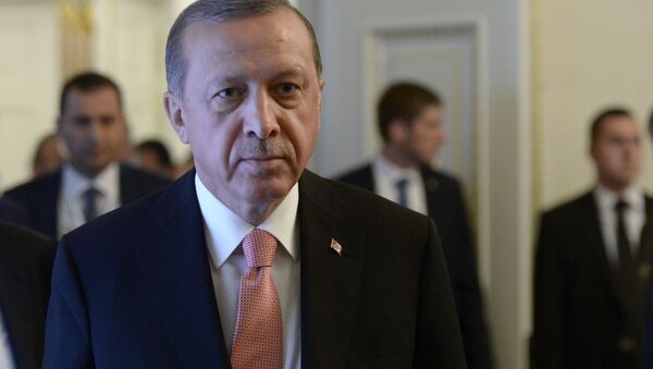اعلام ممنوعیت ورود محافظان اردوغان به آلمان - اسپوتنیک افغانستان  