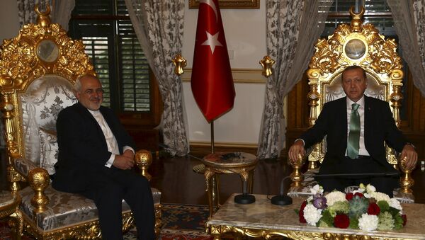 Turkey's President Tayyip Erdogan meets with Iran's Foreign Minister Mohammad Javad Zarif in Istanbul, Turkey March 19, 2016 - اسپوتنیک افغانستان  
