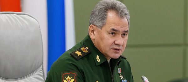 شایگو:بی ثباتی رو به رشد در افغانستان باعث می شود تا روسیه و ازبکستان بیشتر همکاری کنند شایگو:بی ثباتی رو به رشد در افغانستان باعث می شود تا روسیه و ازبکستان بیشتر همکاری کنند - اسپوتنیک افغانستان