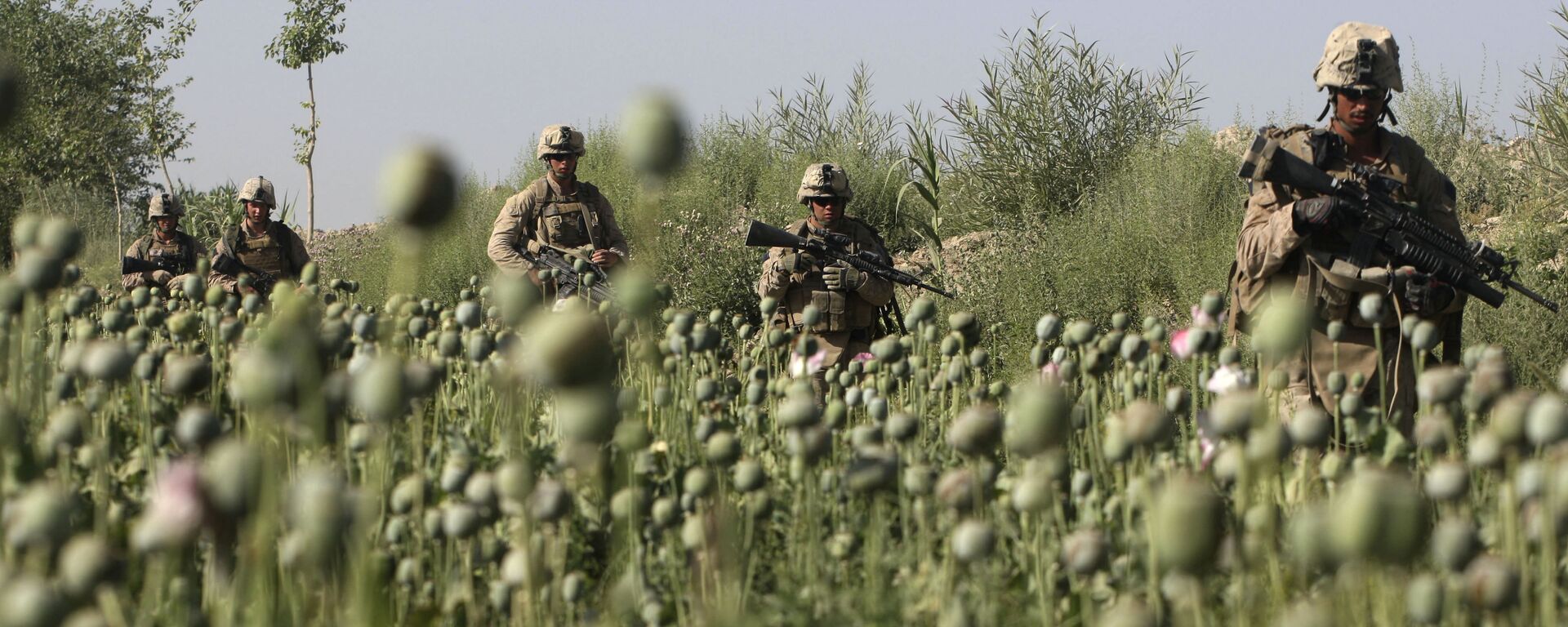  ترافیک مواد مخدر افغانستان به کجا منتهی میشود؟ - اسپوتنیک افغانستان  , 1920, 26.08.2022