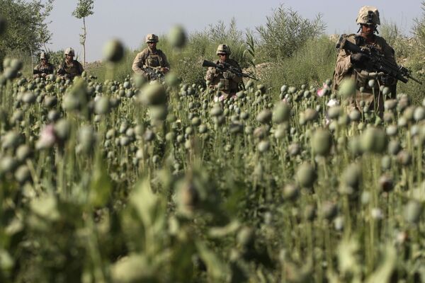 ترافیک مواد مخدر افغانستان به کجا منتهی میشود؟ ترافیک مواد مخدر افغانستان به کجا منتهی میشود؟ - اسپوتنیک افغانستان