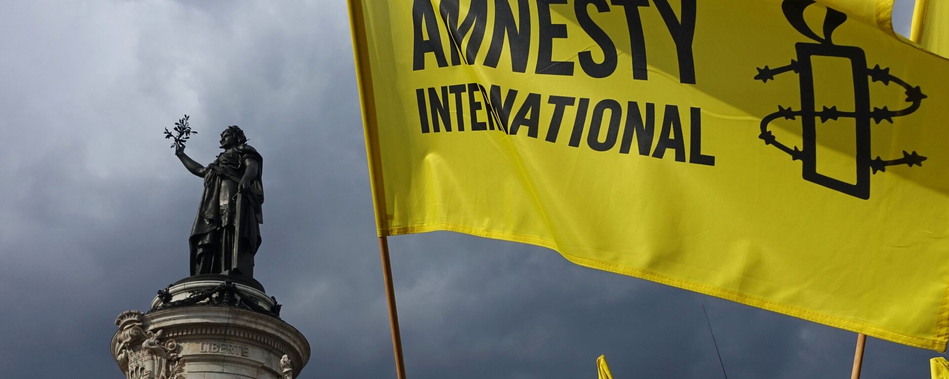 Демонстранты с флагом Amnesty International в Париже - اسپوتنیک افغانستان  , 1920, 31.08.2022