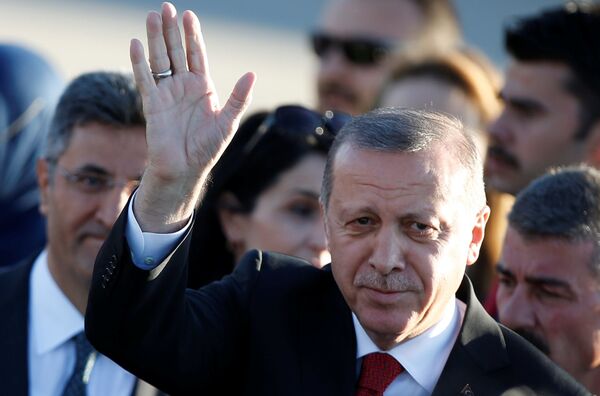 رئیس جمهور ترکیه رجب طیب اردوغان در میدان هوائی هامبورگ - اسپوتنیک افغانستان  