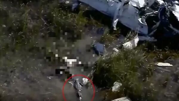بلعیدن یک پیلوت بعد از سقوط طیاره توسط تمساح - اسپوتنیک افغانستان  