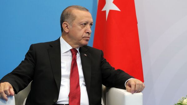 Президент Турции Реджеп Тайип Эрдоган на полях саммита лидеров Группы двадцати G20 в Гамбурге - اسپوتنیک افغانستان  