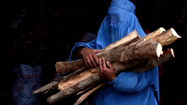 خشونت علیه زنان و کودکان افزایش یافته است - اسپوتنیک افغانستان  