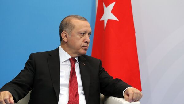 President of Turkey Recep Tayyip Erdogan during a meeting with Russian President Vladimir Putin on the sidelines of the G20 summit in Hamburg - اسپوتنیک افغانستان  