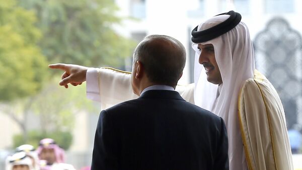 امیر قطر به پادشاه عمان نامه ارسال کرد - اسپوتنیک افغانستان  